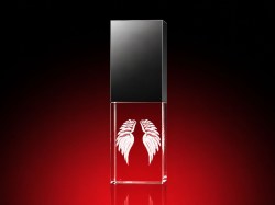 06_Flügel  - USB-Stick, LED weiß, 64 GB (18 x 30 x 10) mm_front_80